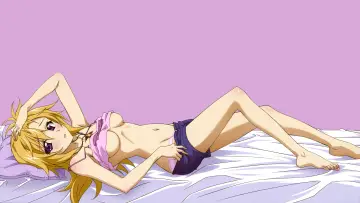 Задник до серіалу "IS: Infinite Stratos" #1391431
