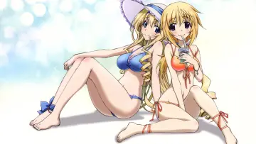 Задник до серіалу "IS: Infinite Stratos" #1391432