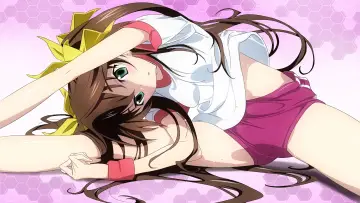 Задник до серіалу "IS: Infinite Stratos" #1391436