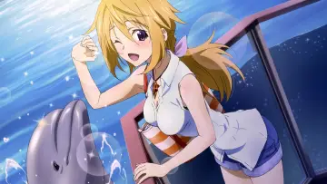 Задник до серіалу "IS: Infinite Stratos" #1391437