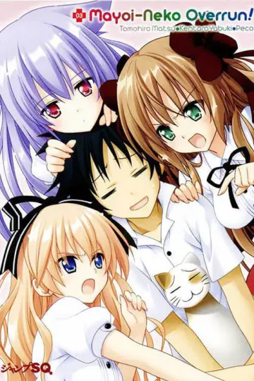 迷い猫オーバーラン! постер