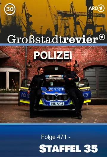 Постер до серіалу "Großstadtrevier" #1679864