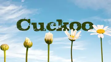 Задник до серіалу "Cuckoo" #1428517