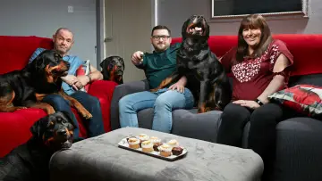 Задник к сериалу "Gogglebox" #1495018