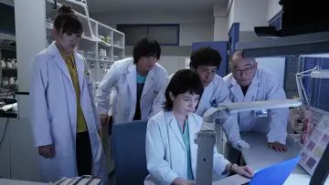 科捜研の女 постер