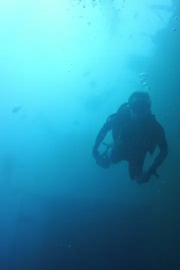 Постер до серіалу "Bering Sea Gold" #1492361