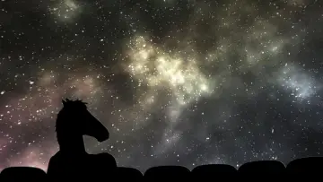 Задник к сериалу "Кінь БоДжек" #1295075