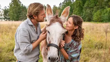 Задник к сериалу "Inga Lindström" #1392257