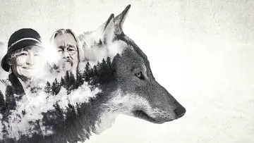 Задник к сериалу "Alaskan Bush People" #1427481