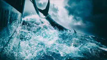 Задник до серіалу "Wicked Tuna" #1357112