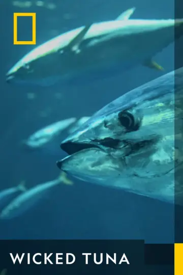 Постер до серіалу "Wicked Tuna" #1357135