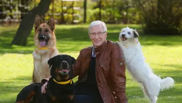 Задник до серіалу "For the Love of Dogs" #1668434