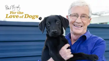 Задник до серіалу "For the Love of Dogs" #1668437