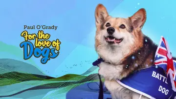 Задник до серіалу "For the Love of Dogs" #1668439