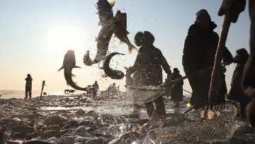 Задник к сериалу "舌尖上的中国" #1477183