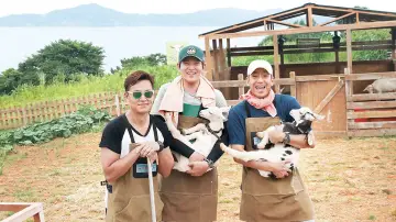 Задник до серіалу "삼시세끼 어촌편" #1428684
