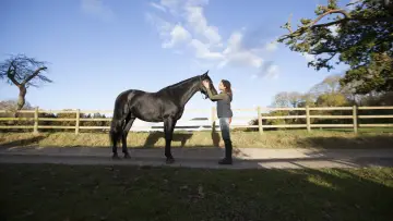 Задник до серіалу "Free Rein" #1458930
