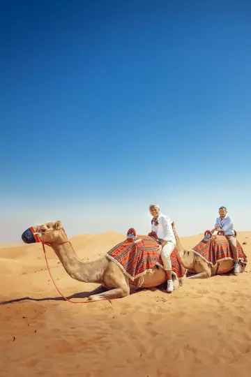 Постер до серіалу "Amazing Hotels: Life Beyond the Lobby" #1771476