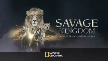 Задник до серіалу "Дике королівство" #1822561