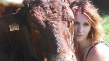 Задник до серіалу "Échappées Belles" #1338770