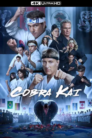 Постер до серіалу "Кобра Кай" #1292521