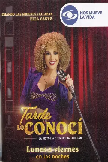 Tarde lo conocí постер