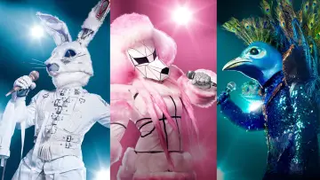 Задник до серіалу "The Masked Singer" #1346145