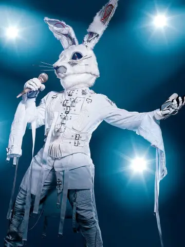 Постер до серіалу "The Masked Singer" #1346216