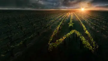 Задник к сериалу "Зоряний шлях: Пікар" #1319332