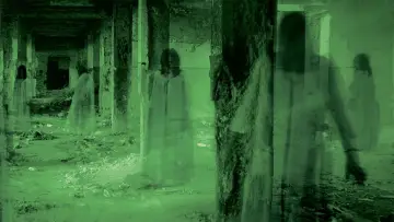 Задник до серіалу "Paranormal Caught on Camera" #1477766
