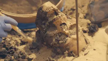 Задник до серіалу "Lost Treasures of Egypt" #1497563