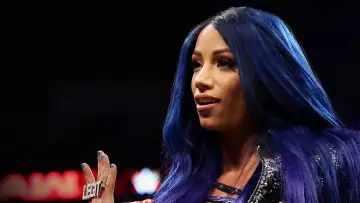 Задник до серіалу "Хроніки WWE" #1595768