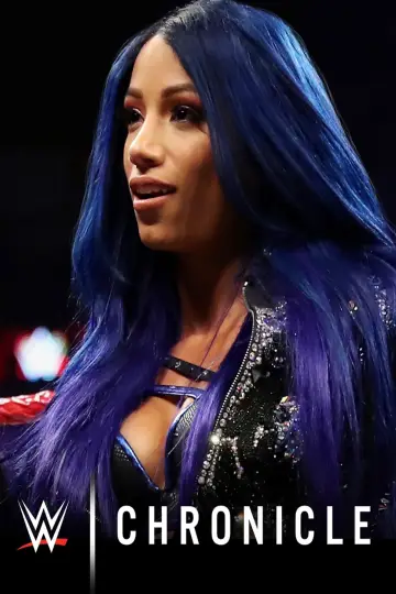 Хроніки WWE постер