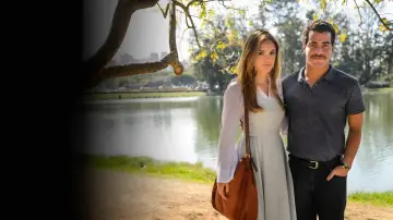 Задник к сериалу "A Lei do Amor" #1444381