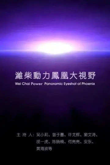 凤凰大视野 постер