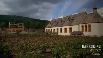 Задник до серіалу "Баркскінс" #1909934