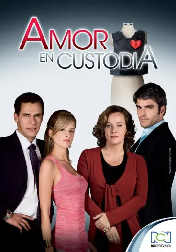 Amor en custodia постер