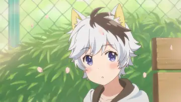 Задник до серіалу "うちタマ?! ～うちのタマ知りませんか？～" #1688115