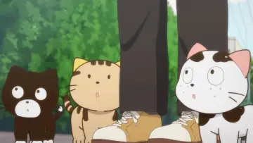 Задник до серіалу "うちタマ?! ～うちのタマ知りませんか？～" #1688116