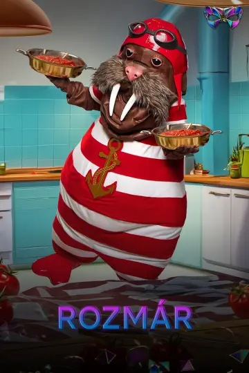 Постер до серіалу "Álarcos énekes" #1670418