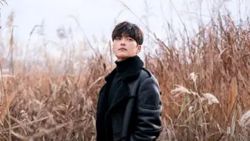 Задник к сериалу "모범형사" #1438024