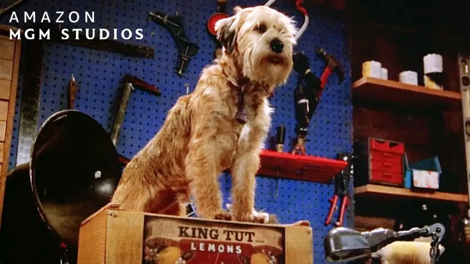 Відео до фільму Кудлатий спецназ! | Hubble