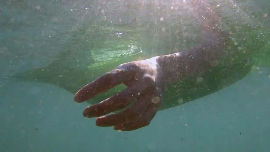 Відео до фільму Depredadores sobre el mar | 🩸 DEPREDADORES SOBRE EL MAR 🌊 | Cortometraje de terror y fantástico (2025)