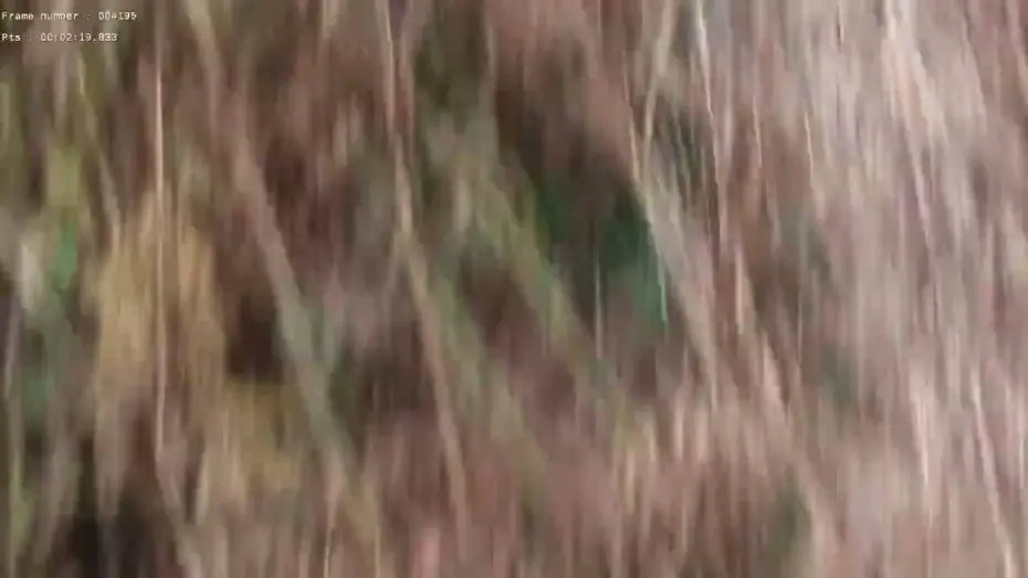 Відео до фільму Clearing of the Bucks | Clearing of the Bucks