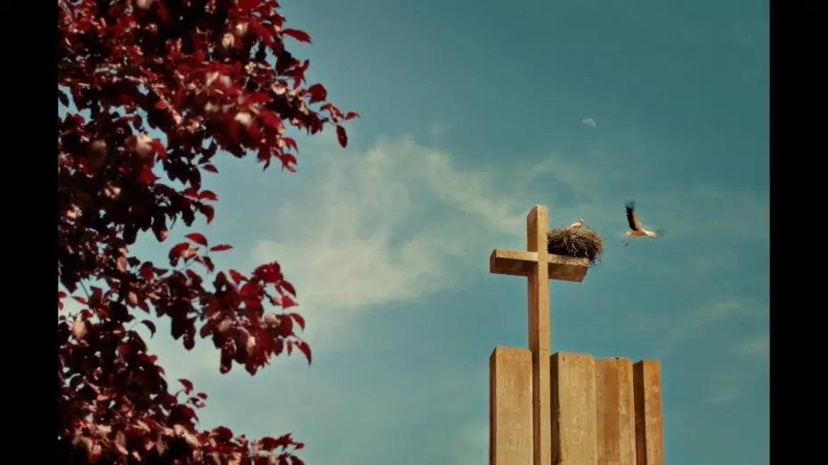 Відео до фільму Los Cangrejos | EXCLUSIVA: tr&aacute;iler de LOS CANGREJOS, de Rub&eacute;n Seca, estreno mundial en SEMINCI 2025