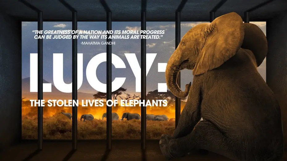 Відео до фільму Lucy: The Stolen Lives of Elephants | Trailer