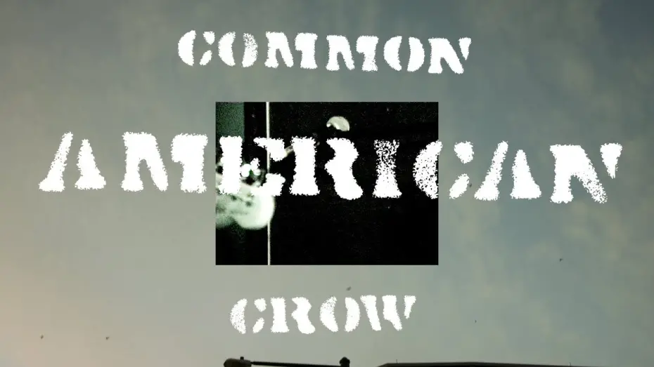 Відео до фільму Common American Crow | Common American Crow (A Dougumentary)