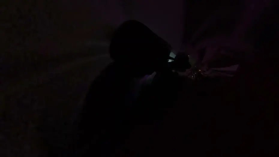 Відео до фільму Revolution or Rollercoaster | 레볼루션 혹은 롤러코스터 Revolution or Rollercoaster | 한국경쟁 Korean Competition | 17TH DMZ Docs Trailer