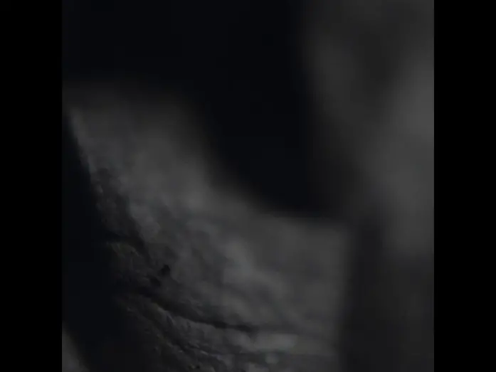 Відео до фільму Хелловін | Teaser for HALLOWEEN... Full trailer coming soon... STAY TUNED