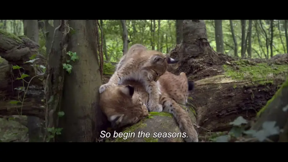 Відео до фільму Сезони | Времена года | Les saisons | Трейлер  | 2015